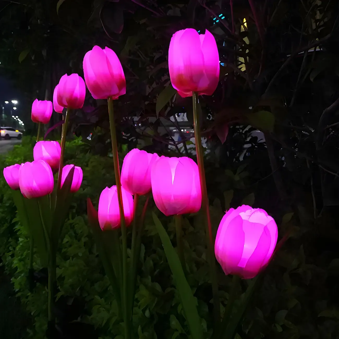 Contemporary Tulip Solar Decorative Landscape Lighting Image - 3