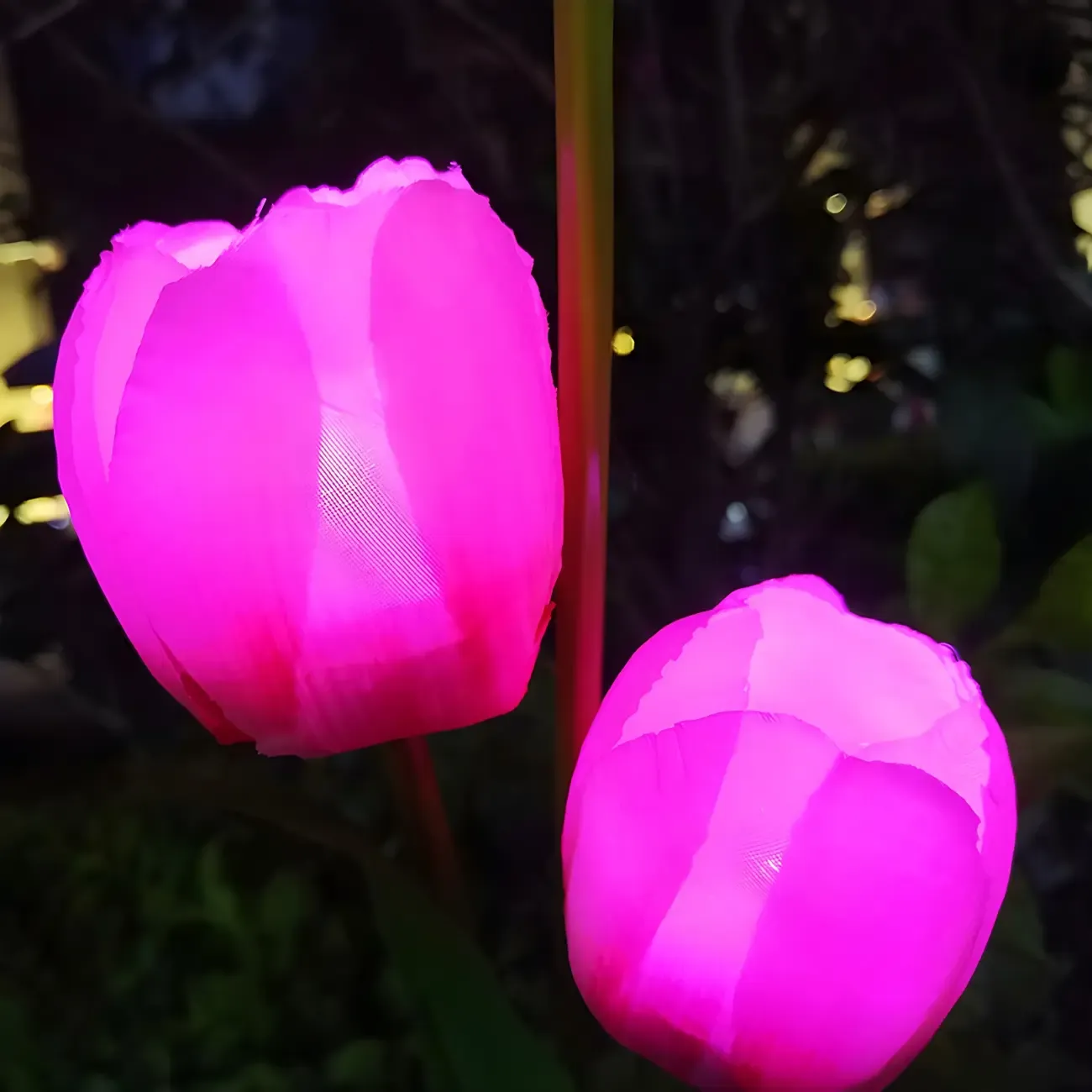 Contemporary Tulip Solar Decorative Landscape Lighting Image - 4