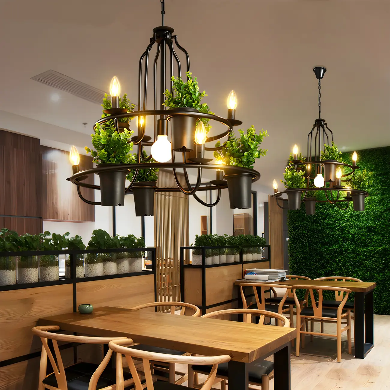 Black Metal Circular Modern Plant Chandelier | homeyfad
