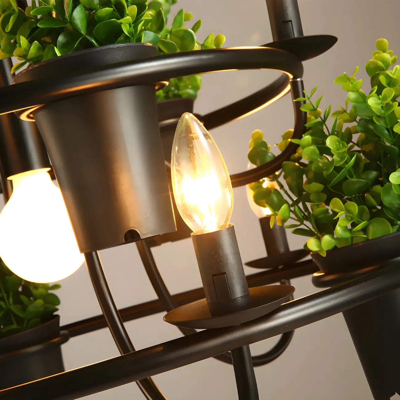 Black Metal Circular Modern Plant Chandelier | homeyfad