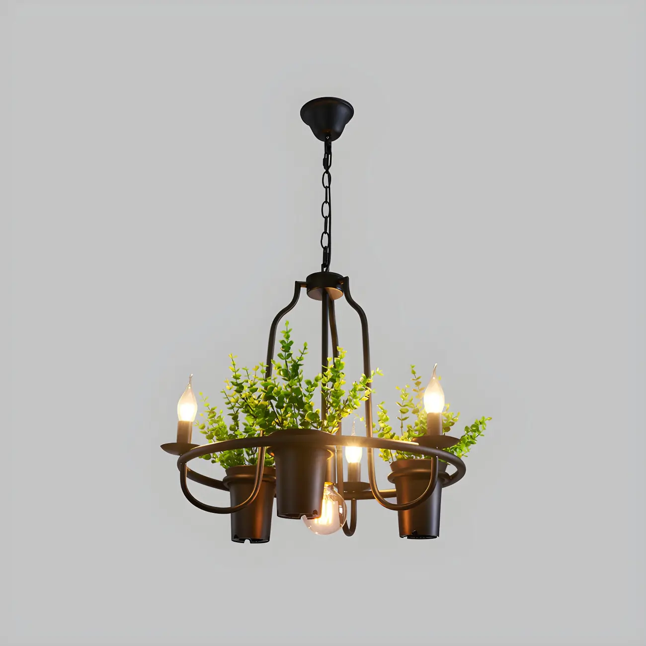 Black Metal Circular Modern Plant Chandelier | homeyfad