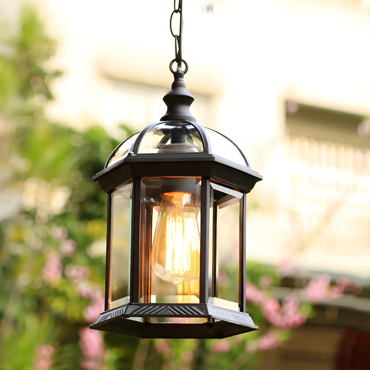 Birdcage Clear Glass Suspension Light Retro 1-Light Courtyard Pendant Light Fixture Image - 4 | homeyfad