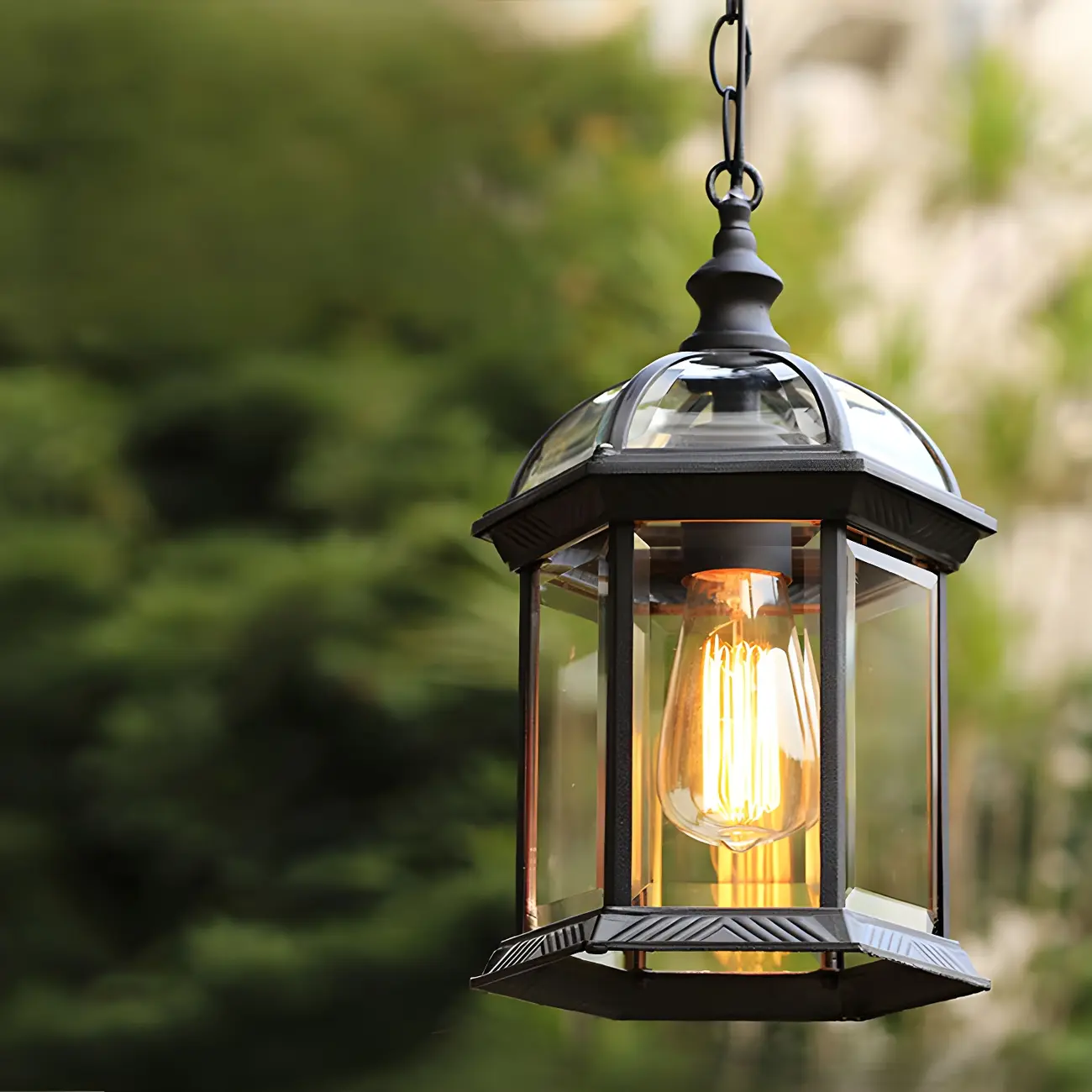 Birdcage Clear Glass Suspension Light Retro 1-Light Courtyard Pendant Light Fixture Image - 1 | homeyfad