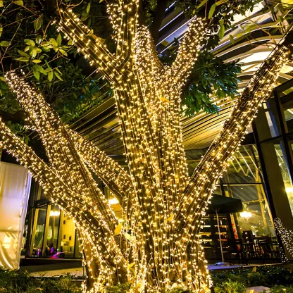Solar Beaded LED Outdoor Waterproof  String Light Image - 3