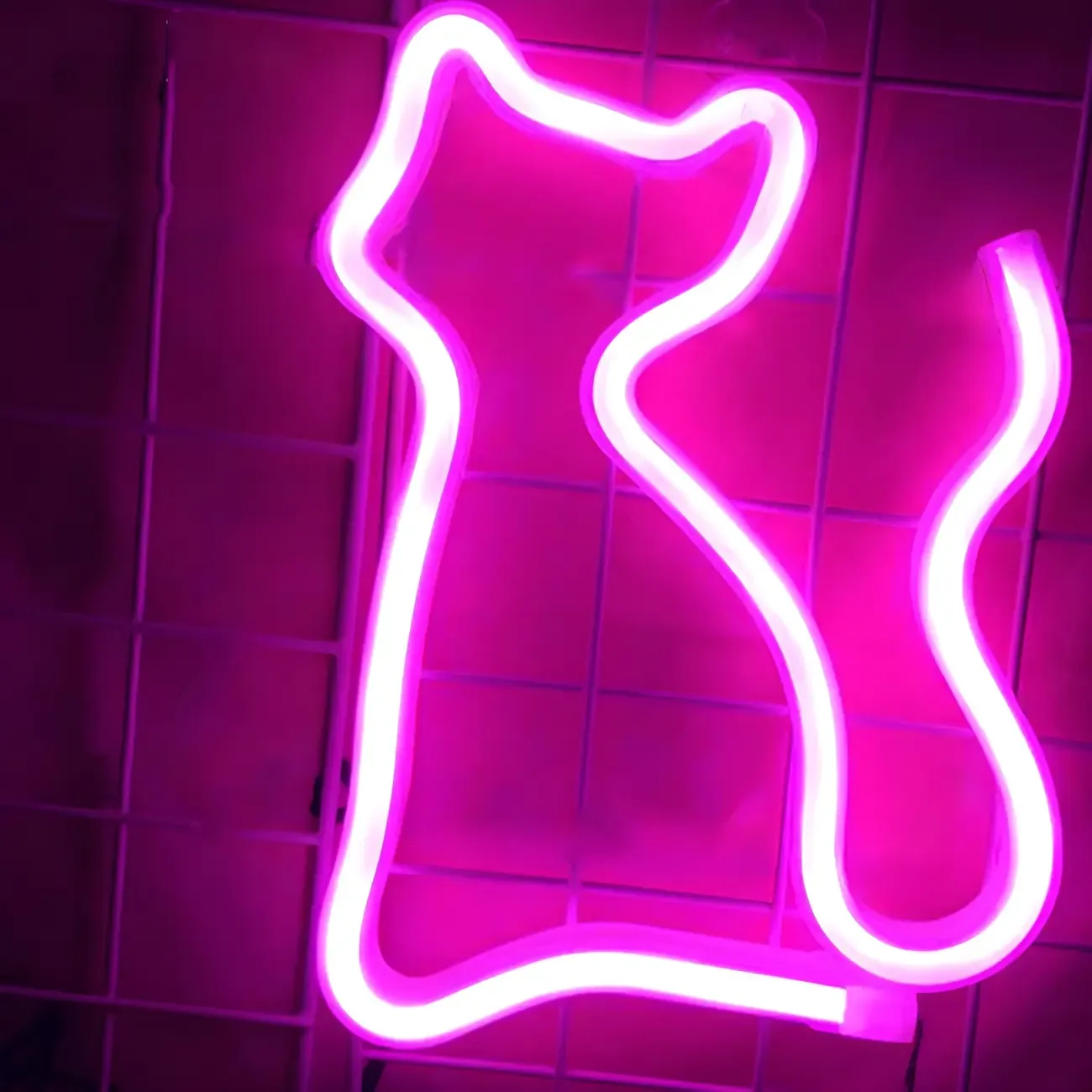 Cat and Bat Outline LED Neon Rechargeable Night Light Image - 3