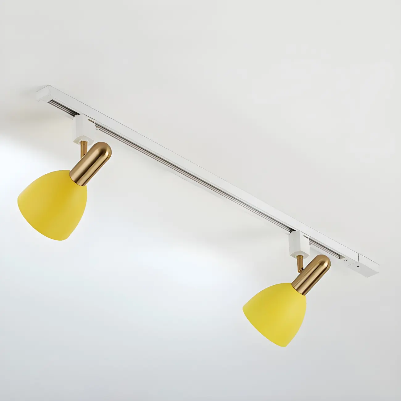 4-Light Modern Metal Dome Shade Slidable LED Track Light | homeyfad