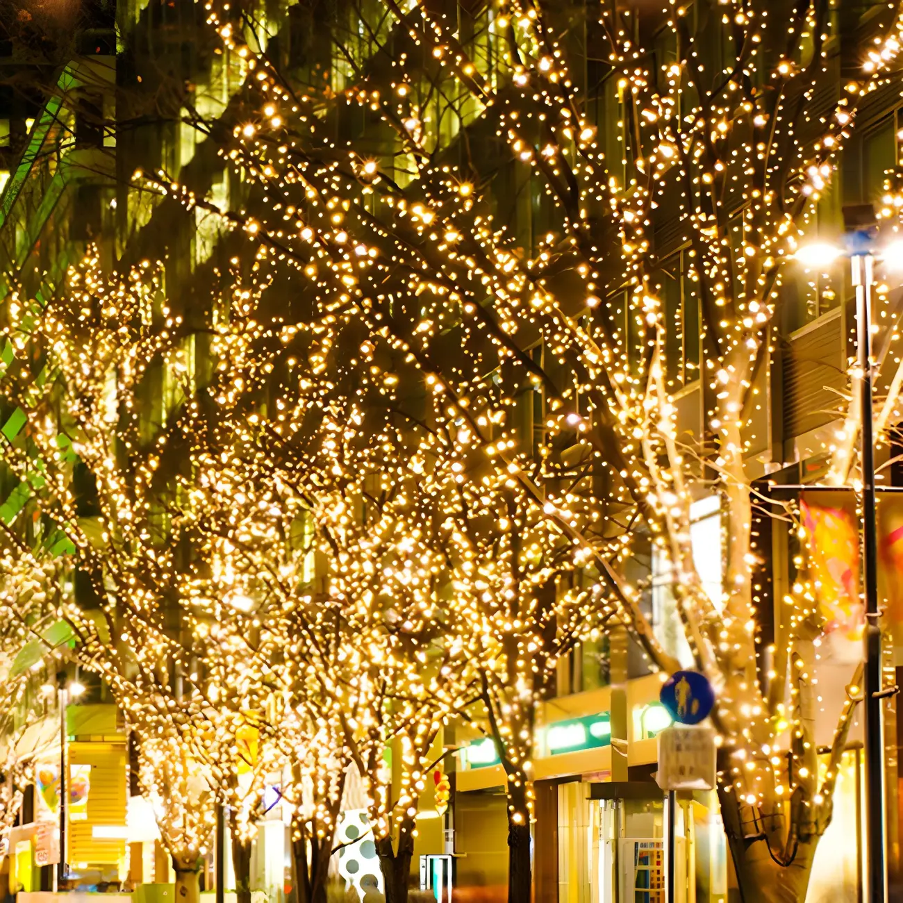 Solar Outdoor Colorful LED Bulbs Festive String Light Image - 1 | homeyfad