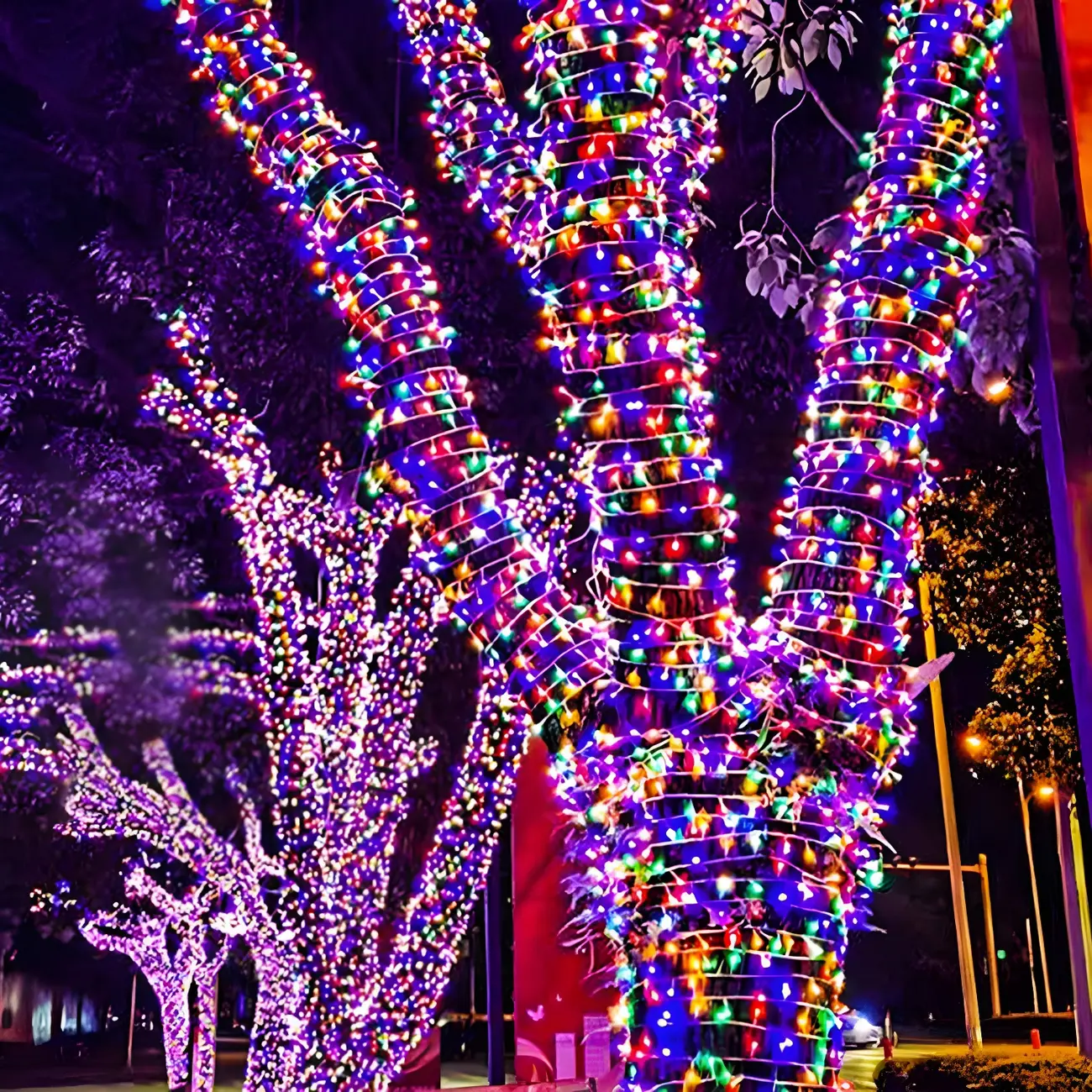 Solar Outdoor Colorful LED Bulbs Festive String Light Image - 2 | homeyfad