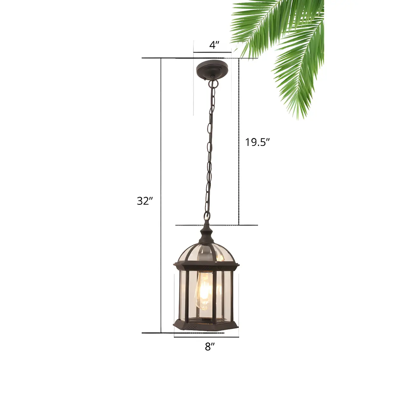 Clear Glass Birdcage Suspension Light Vintage 1-Light Outdoor Hanging Pendant Light Image - 4 | homeyfad
