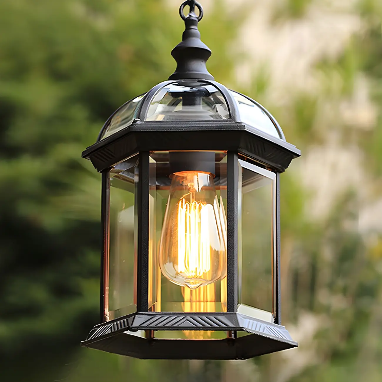 Clear Glass Birdcage Suspension Light Vintage 1-Light Outdoor Hanging Pendant Light Image - 1 | homeyfad
