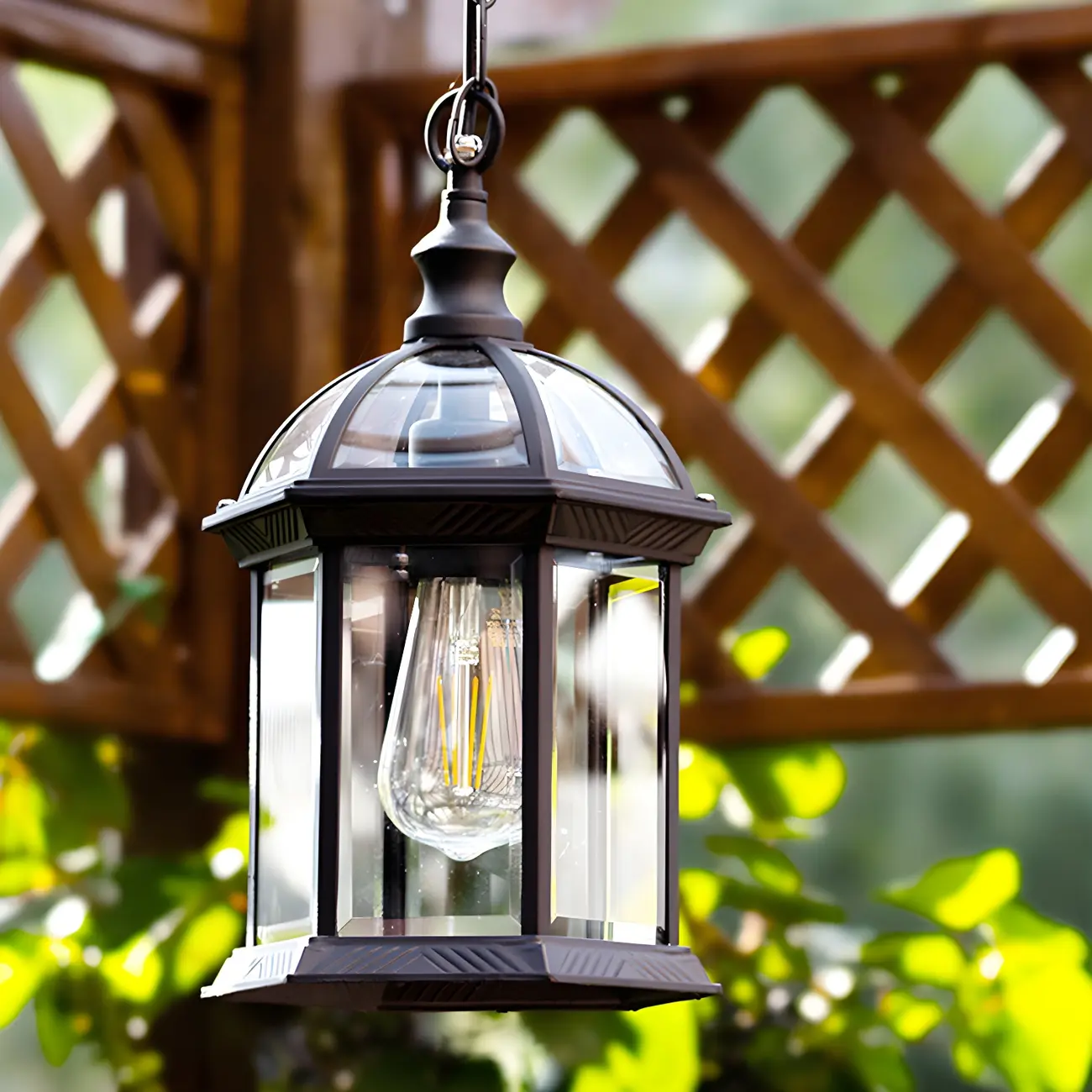 Clear Glass Birdcage Suspension Light Vintage 1-Light Outdoor Hanging Pendant Light Image - 2 | homeyfad