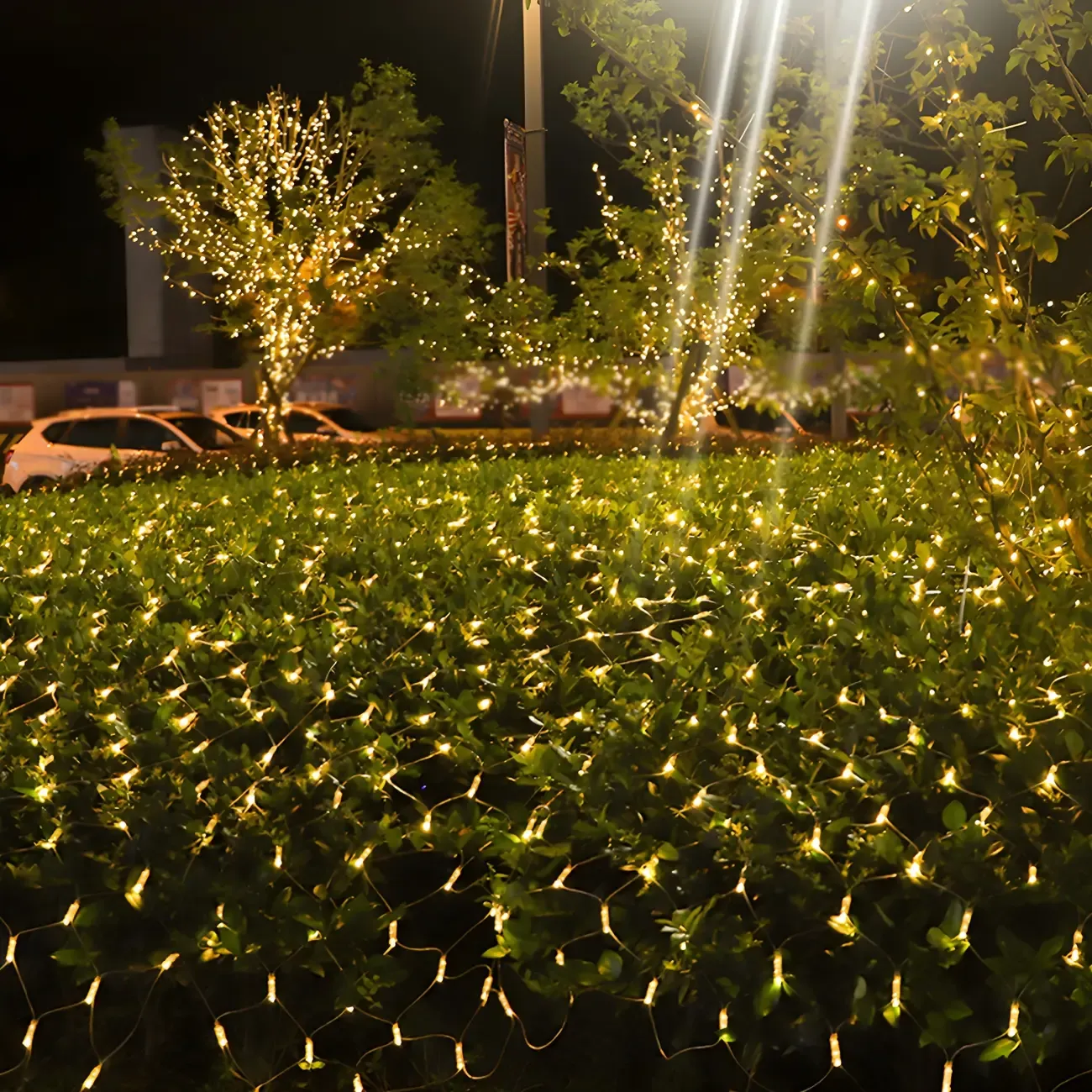 9.8ft Contemporary Fishnet Solar String Light Image - 9