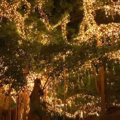 Colorful Solar Black Beaded LED Fairy Outdoor String Light Image - 4