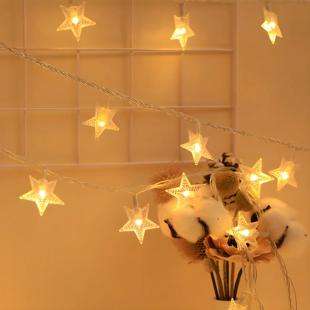 Charming Festive Shape Clear Plastic String Light Image - 2 | homeyfad