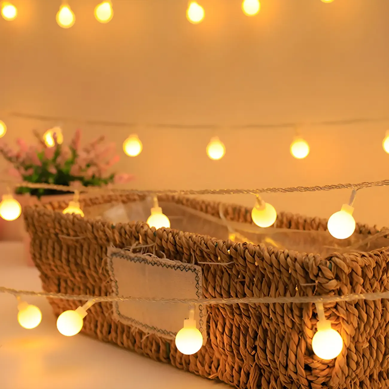 Charming Festive Shape Clear Plastic String Light Image - 7