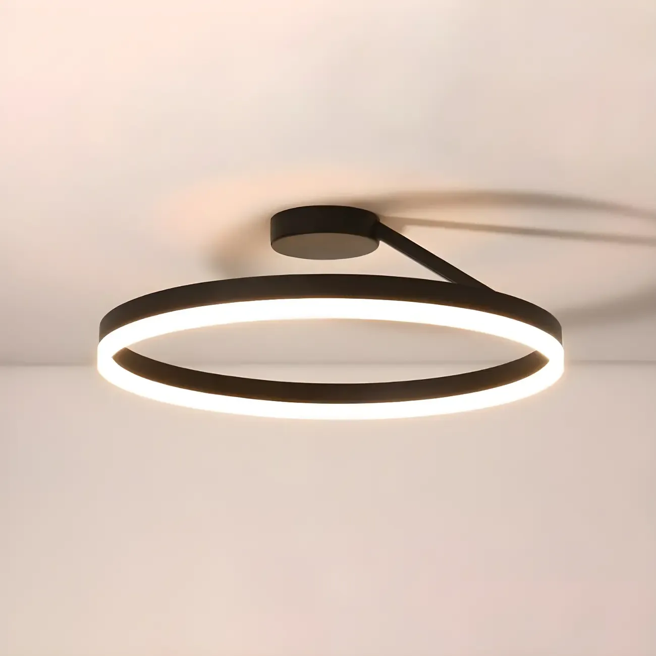 Minimal Circular Ring Acrylic Black LED Ceiling Light Image - 7