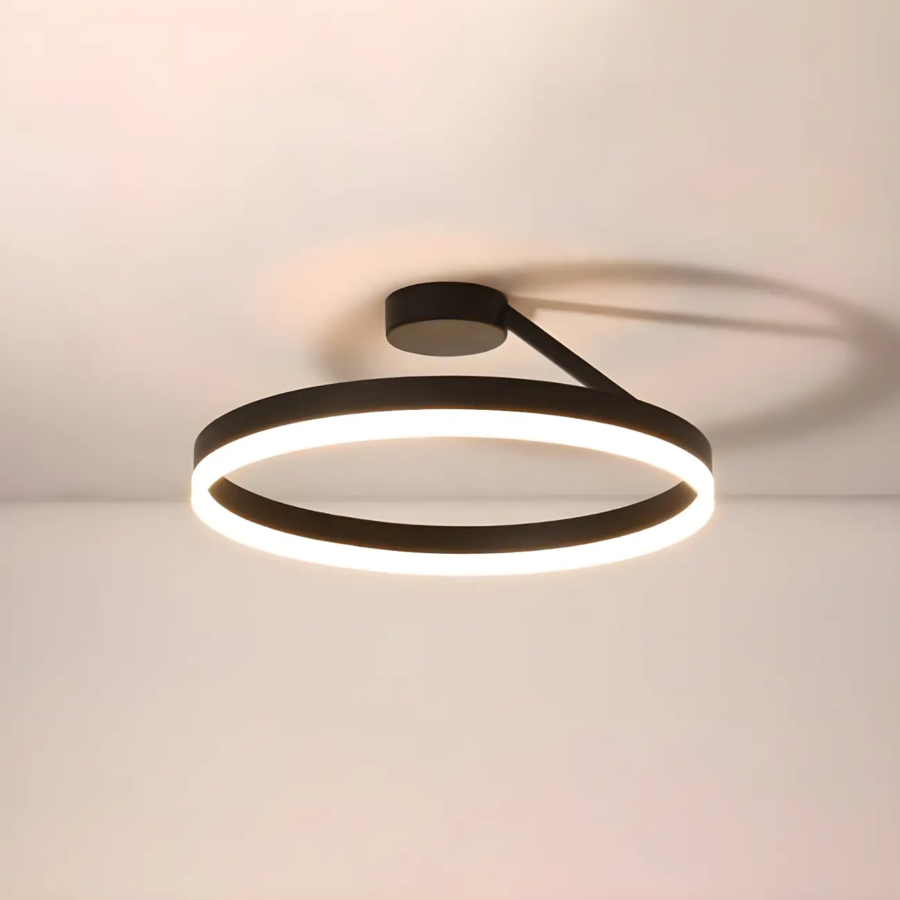 Minimal Circular Ring Acrylic Black LED Ceiling Light Image - 2 | homeyfad