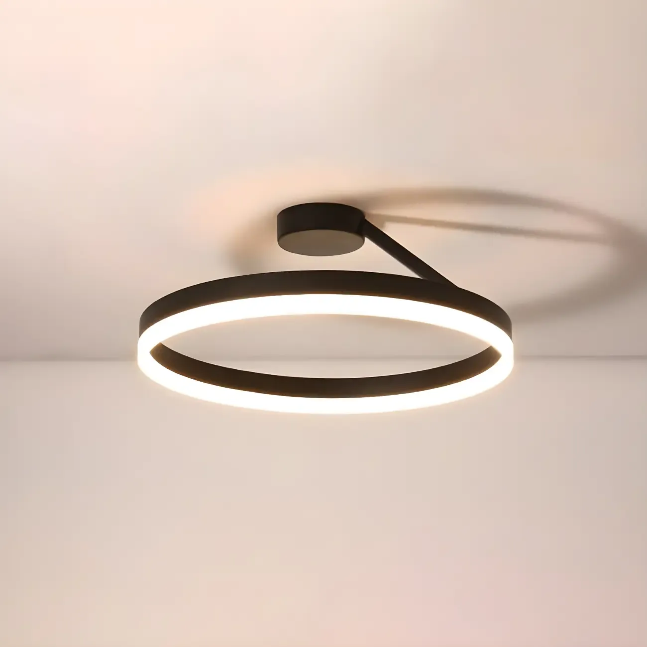 Minimal Circular Ring Acrylic Black LED Ceiling Light Image - 2