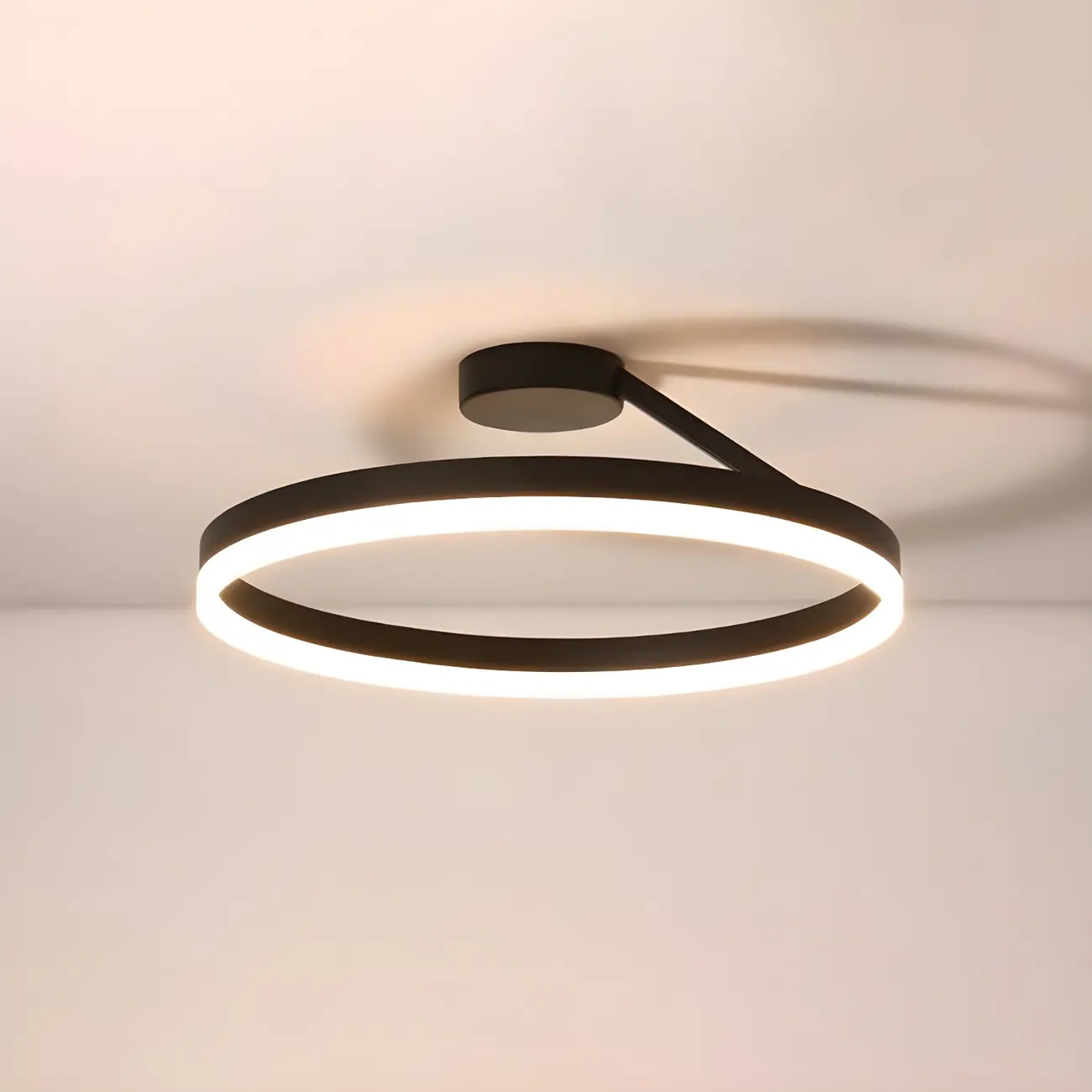 Minimal Circular Ring Acrylic Black LED Ceiling Light Image - 10 | homeyfad