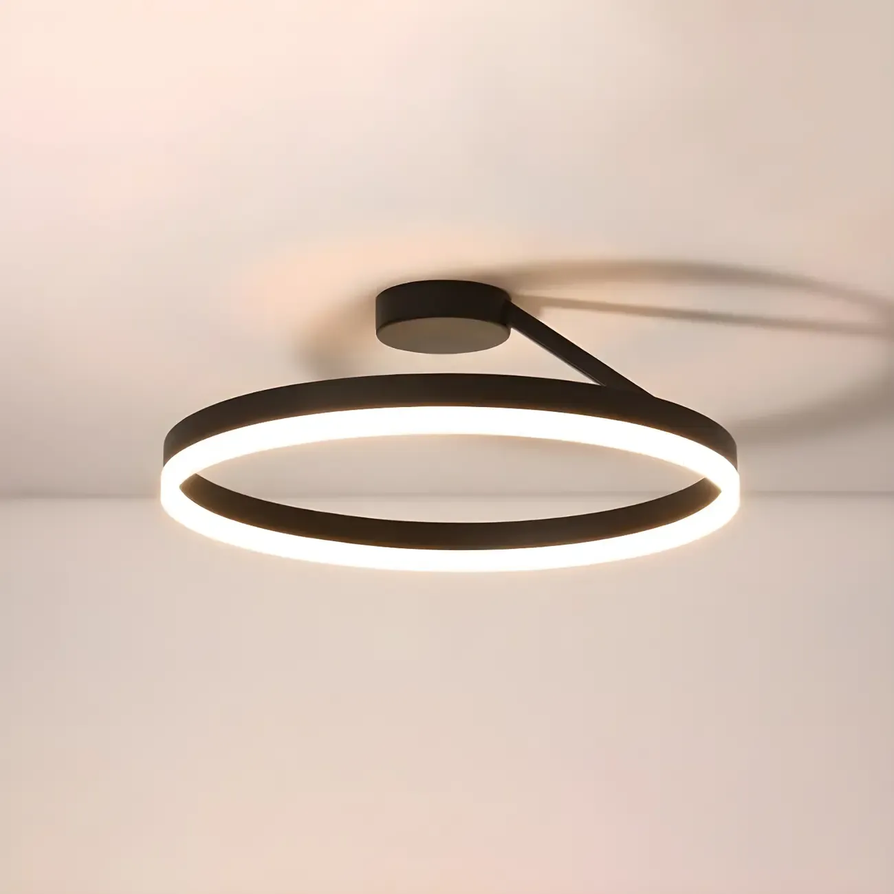 Minimal Circular Ring Acrylic Black LED Ceiling Light Image - 10