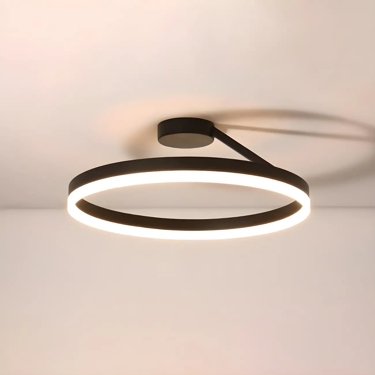 Minimal Circular Ring Acrylic Black LED Ceiling Light Image - 13 | homeyfad
