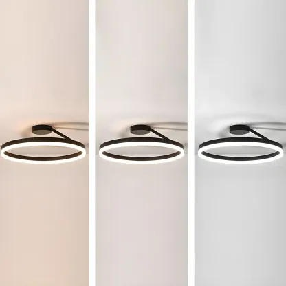 Minimal Circular Ring Acrylic Black LED Ceiling Light Image - 14