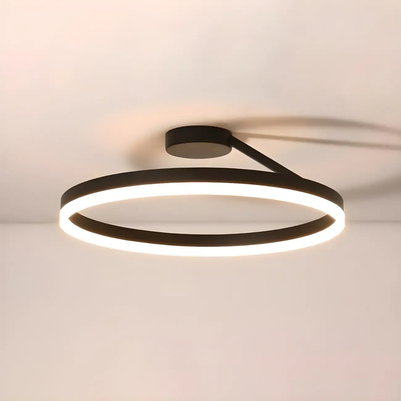 Minimal Circular Ring Acrylic Black LED Ceiling Light Image - 17
