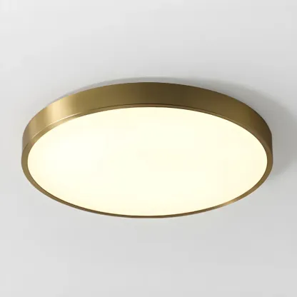 Modern Acrylic LED Flush Ceiling Light for Living Room Image - 3