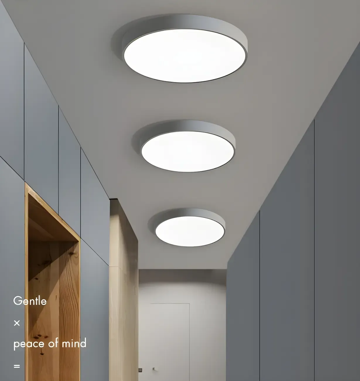 Modern Acrylic LED Flush Ceiling Light for Living Room Image - 21