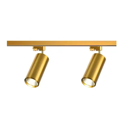 Modern Gold Track Lighting Fixture for Living Room Image - 12