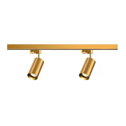 Modern Gold Track Lighting Fixture for Living Room Image - 16