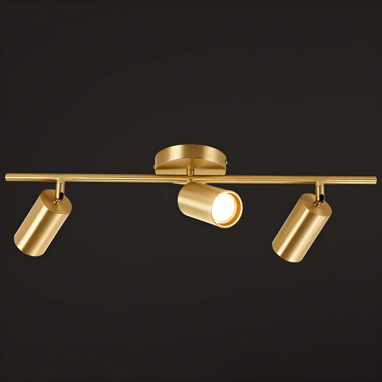 4 Light Gold Track Lighting with Adjustable Heads | homeyfad