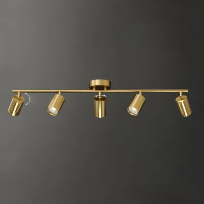 4 Light Gold Track Lighting with Adjustable Heads