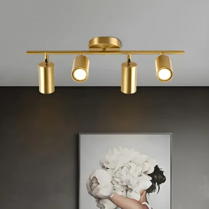 4 Light Gold Track Lighting with Adjustable Heads