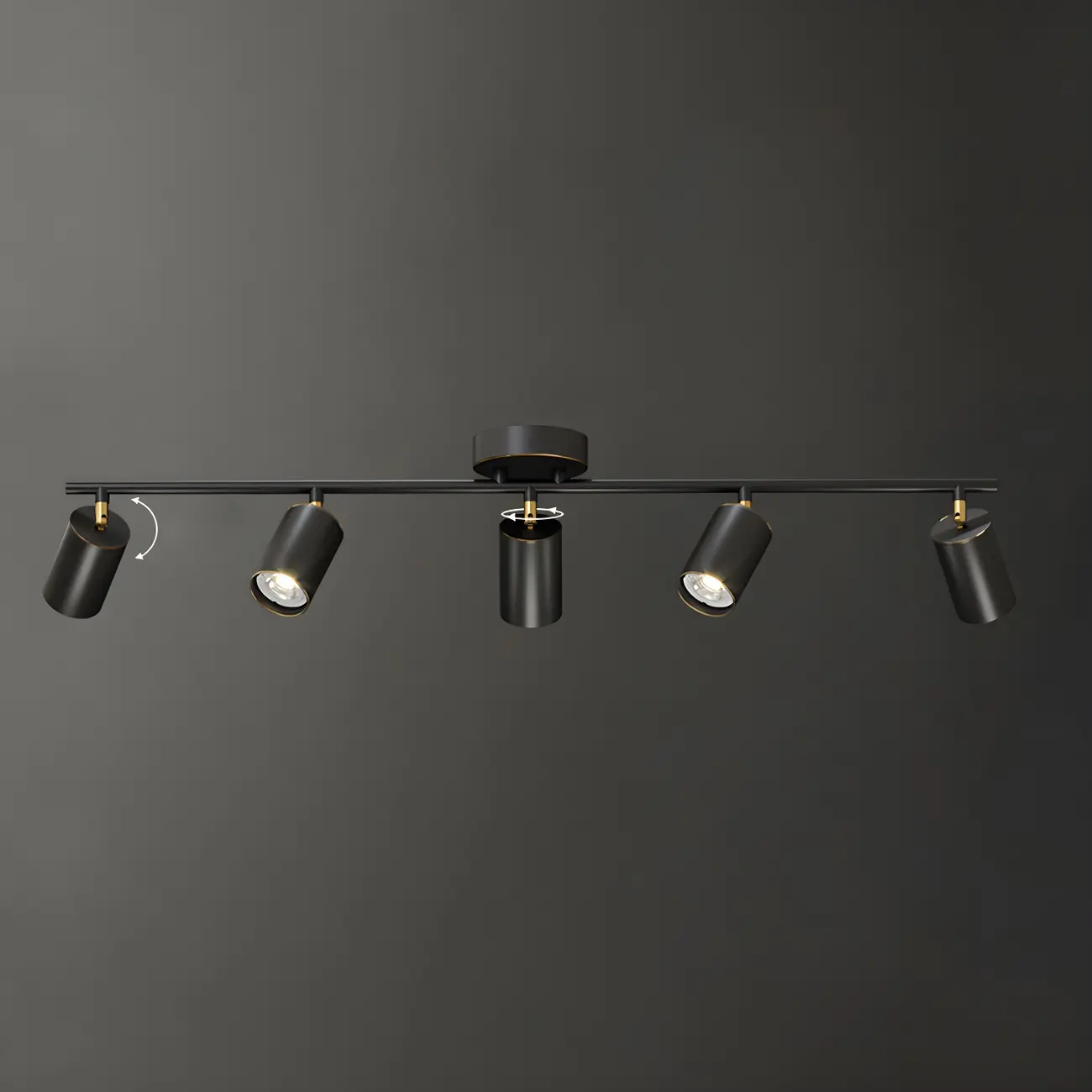 4 Light Gold Track Lighting with Adjustable Heads | homeyfad