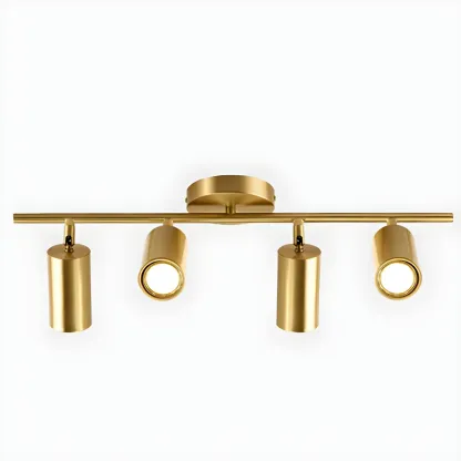 4 Light Gold Track Lighting with Adjustable Heads