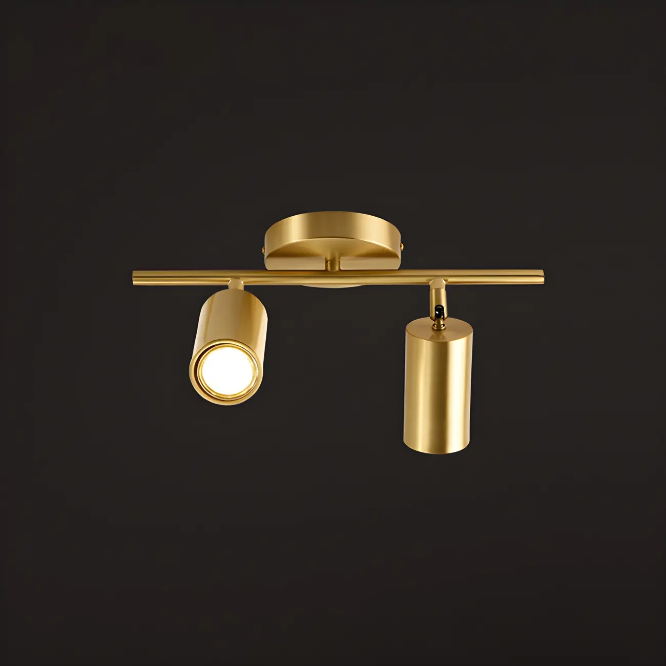 4 Light Gold Track Lighting with Adjustable Heads | homeyfad