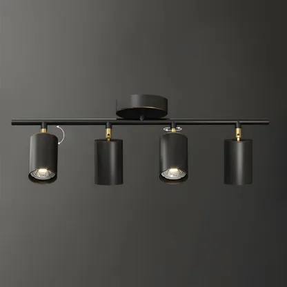 4 Light Gold Track Lighting with Adjustable Heads