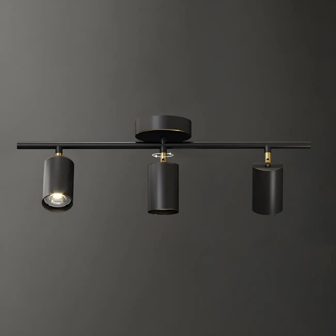 4 Light Gold Track Lighting with Adjustable Heads | homeyfad