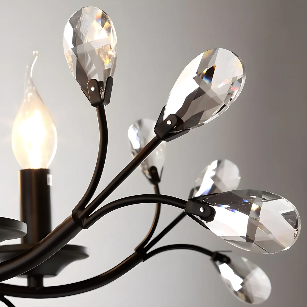 Black Crystal Branch Chandelier Modern Structure Image - 15 | homeyfad