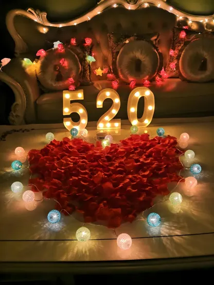 Colorful Rope Wrapped Ball LED Festive String Light Image - 6