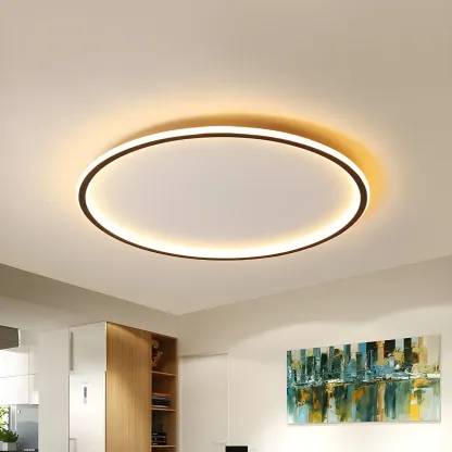 16 Inch Round Acrylic LED Flush Ceiling Light Dimmable Image - 1