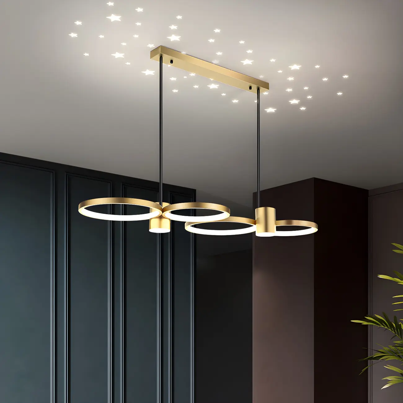 Modern Black Ring Dimming Pendant Light Image - 2 | homeyfad