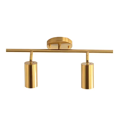 Modern Gold Track Lighting Fixture for Living Room Image - 13