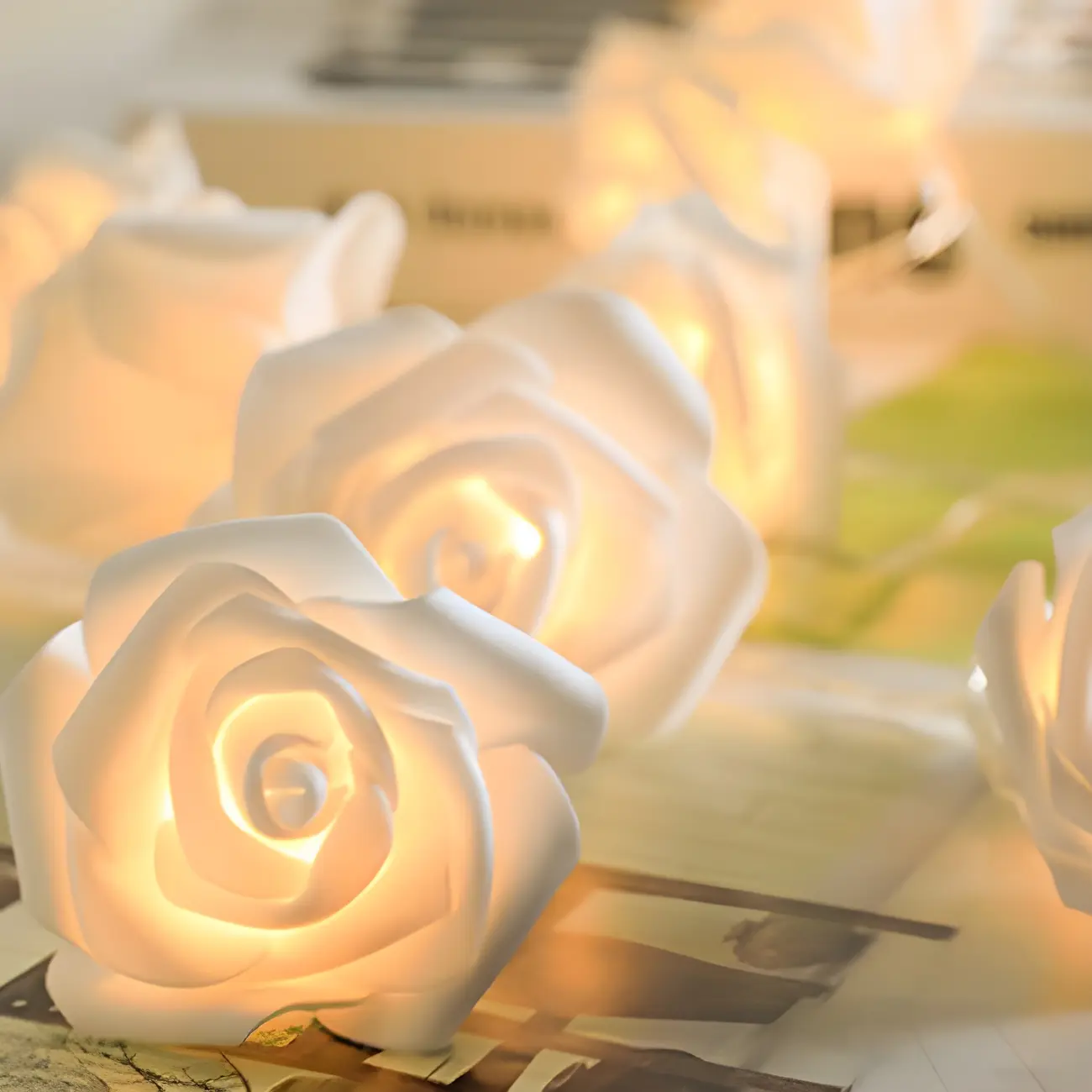 Romantic Pink and White Rose Floral String Light Image - 2 | homeyfad