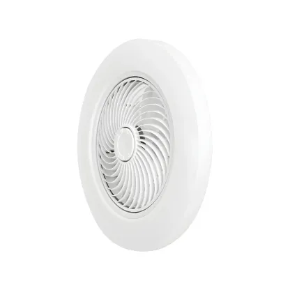 Modern Flush Mount Ceiling Fan with Light 3-Speed for Living Room