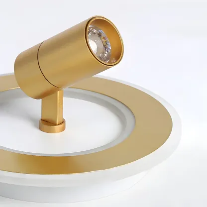 Modern LED Flush Ceiling Light for Residential Elegance Image - 17