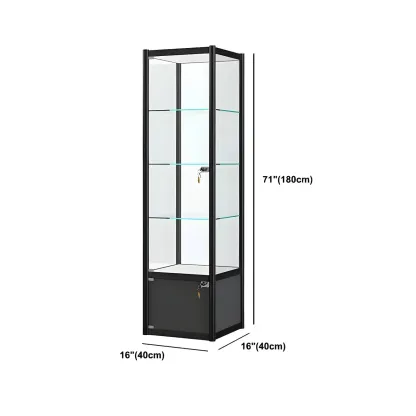 Rectangular Black Glass Metal Curio Display Cabinet Image - 14