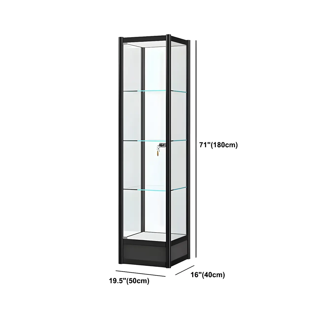 Rectangular Black Glass Metal Curio Display Cabinet Image - 15 | homeyfad