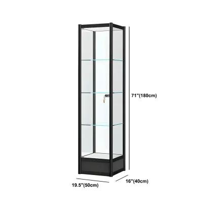 Rectangular Black Glass Metal Curio Display Cabinet Image - 15